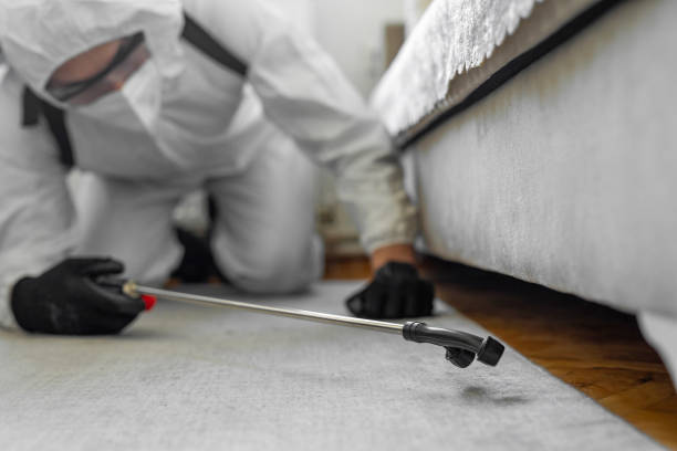Professional Cockroach Control technician working in Adelanto, CA