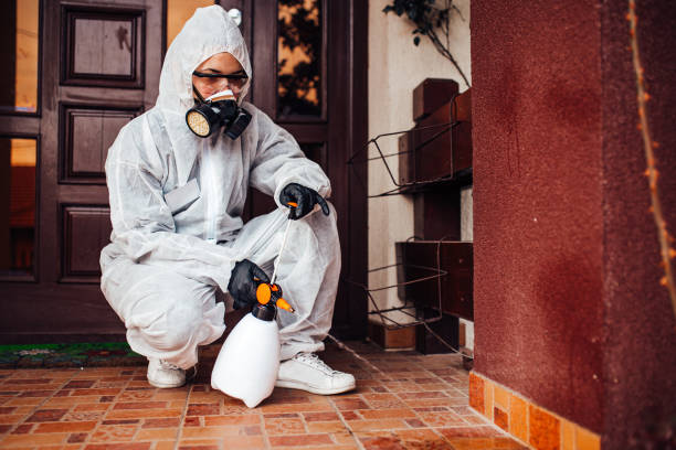 Reliable Cockroach Control contractor in Adelanto, CA by Nex Pest Control
